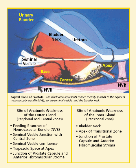 Doppler Ultrasound Color Chart